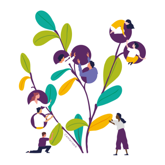 illustrated flower graphic